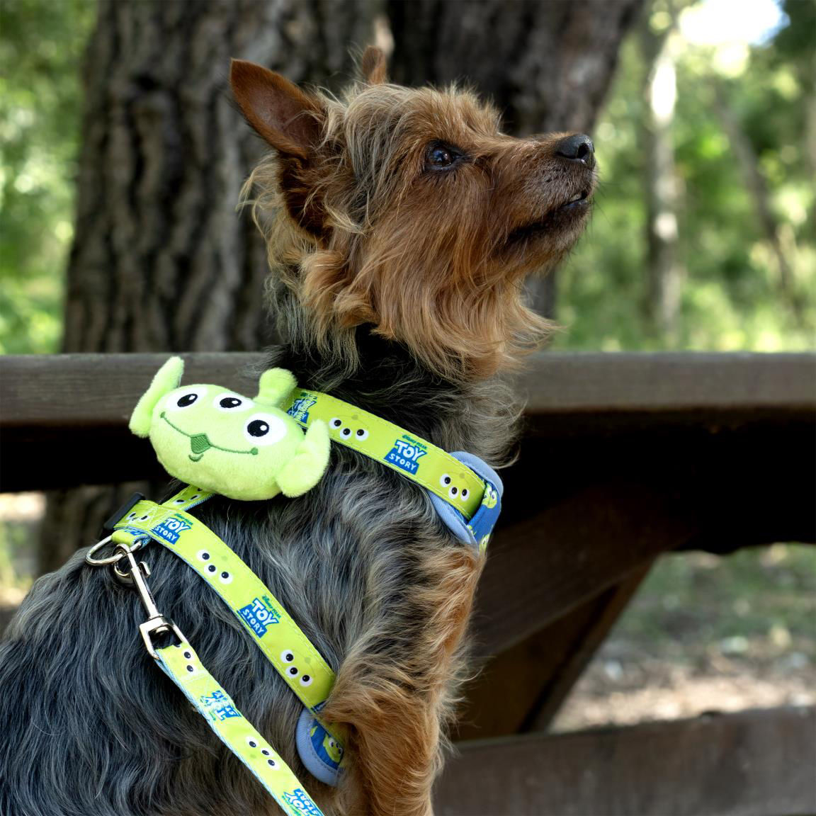 Toy Story Disney Pets Hunde Geschirr mit Leine für Spaziergänge und Alltag