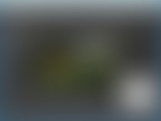 Alternativas gratuitas a Photoshop