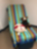 IMG_3894.jpeg