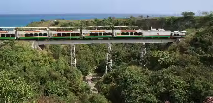 A train going over a bridge with trees below. The ocean is in the distance.