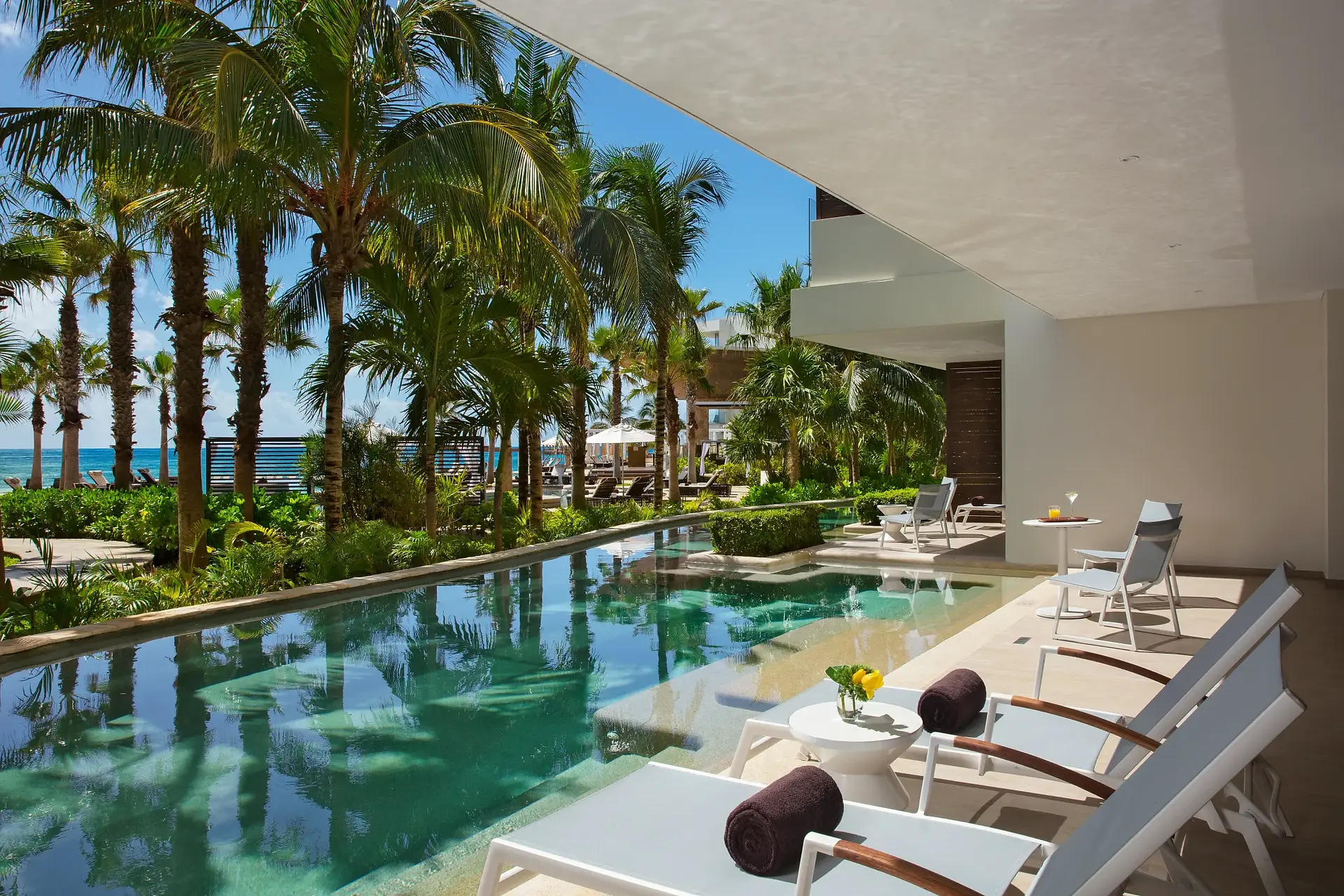 A tropical resort with clear pool. The ocean is in the backdrop. The pool is surrounded by palm trees. 