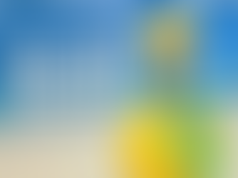 Beaches Resorts - December Offers