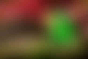 Slimy Yet Satisfying – Sprite infused with lime gelatin and garnished with centipede and worm gummies