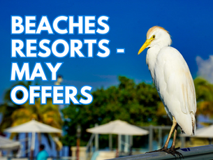Beaches Resorts - May Offers