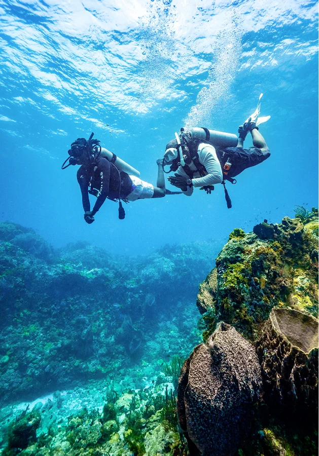 Two people scuba diving in a turquoise waters with coral.
