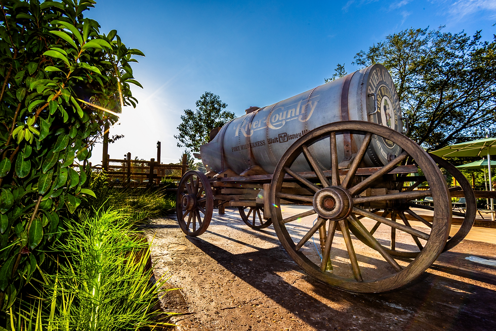 Rustic wagon with River Country tank at Disney, sunlit greenery and blue sky creating a warm, nostalgic outdoor scene