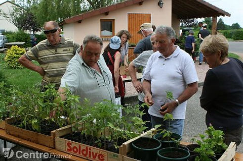 Le jardin de