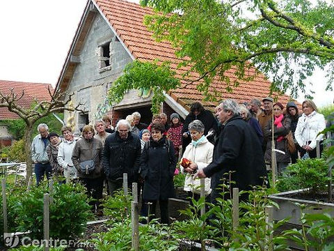 Le jardin de
