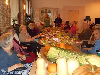 Le jardin de