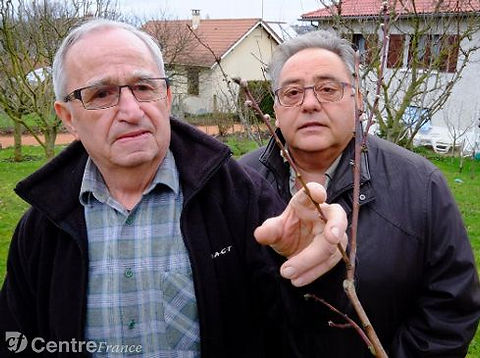 Le jardin de