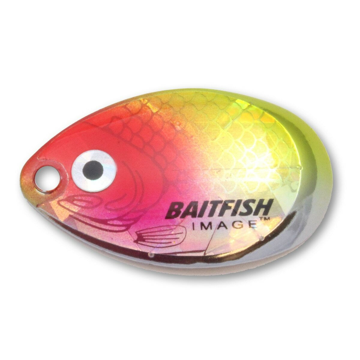 Northland Baitfish Image - Indiana Spinner Blade - Clown
