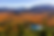 Adirondacks.png