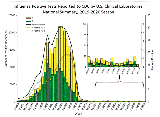 the flu 2019 to 2020.gif