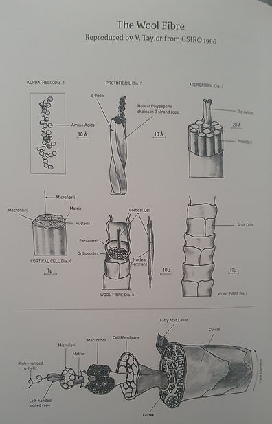 saxon wool microfibre diagram