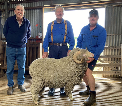 Winton ram 1 (002).JPG simon cameron sale.JPG