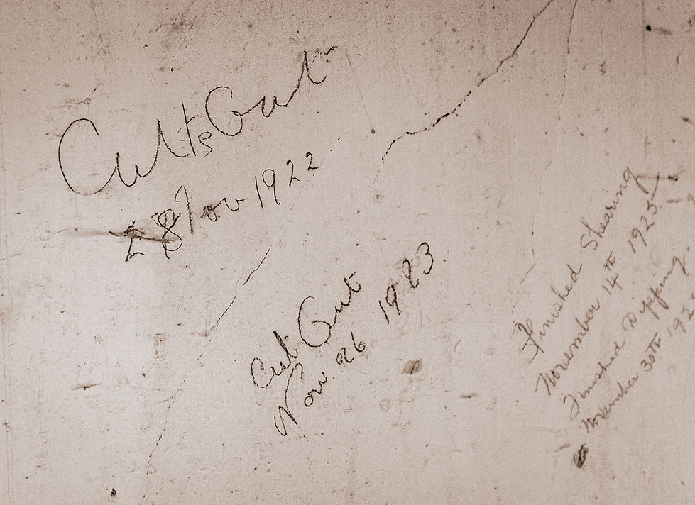 VBC Image -finished shearing grafiti Winton Woolshed