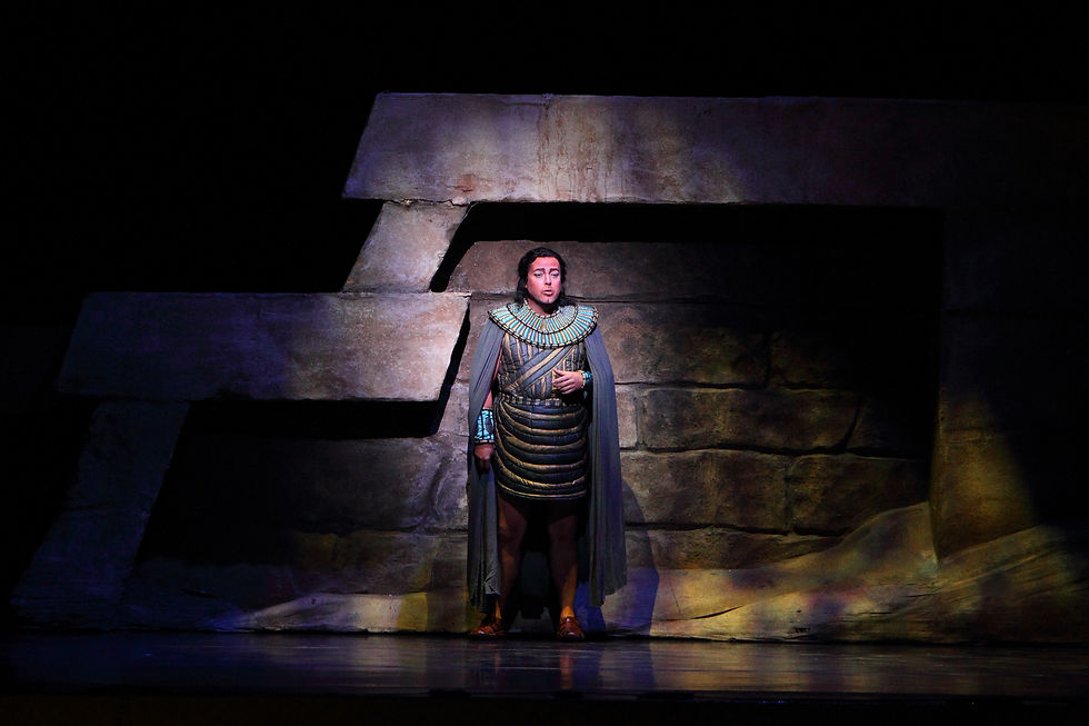 Radamès in Aida