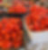 PXL_20230909_142748306_edited.jpg