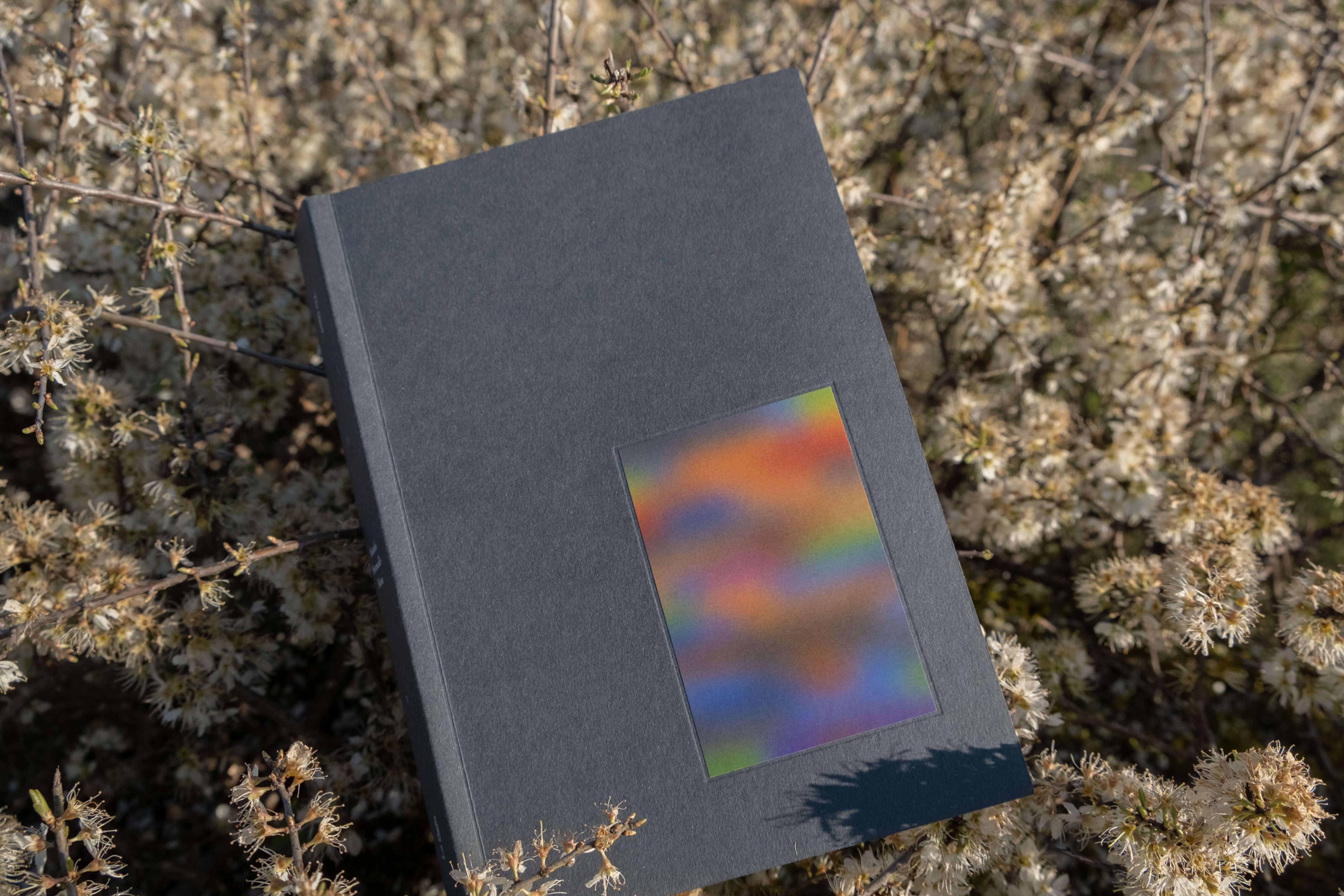 The Quest - La Quête Vol. I Natacha Pincemaille-Neveu