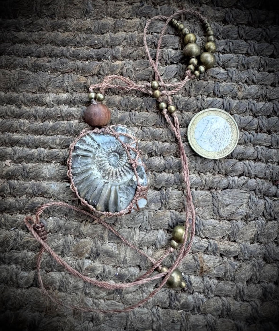 Miniaturbild: Halskette / Amulett mit pyritisierten Ammonit / Bronze / Holz