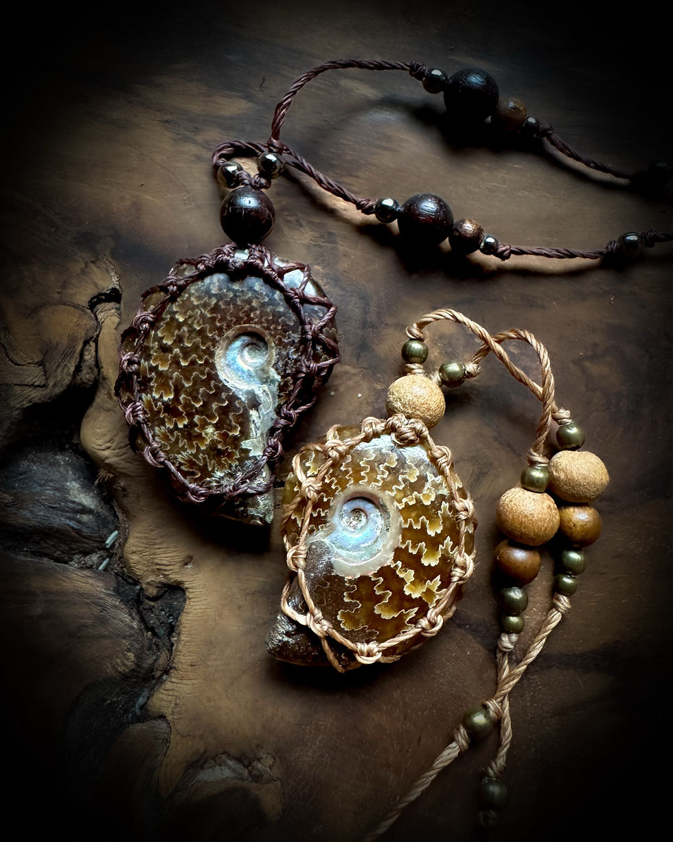 Miniaturbild: Halskette / Amulett mit Ammonit / Bronze / Holz