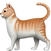 🐈.png