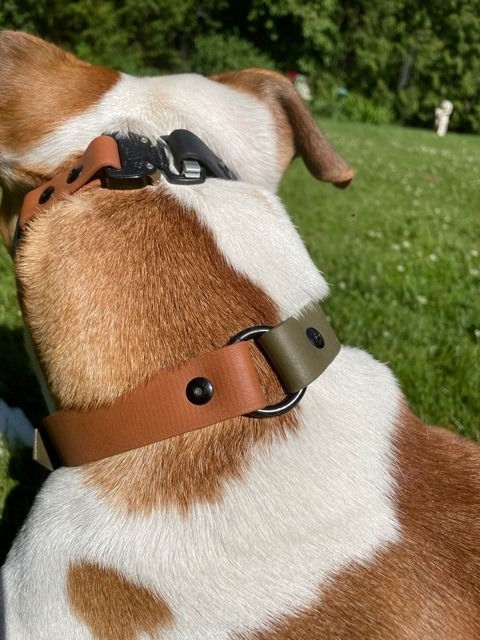 Thumbnail: The Two-Tone Half n' Half Collar