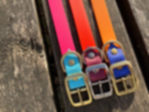 The Original Two-Tone Collar