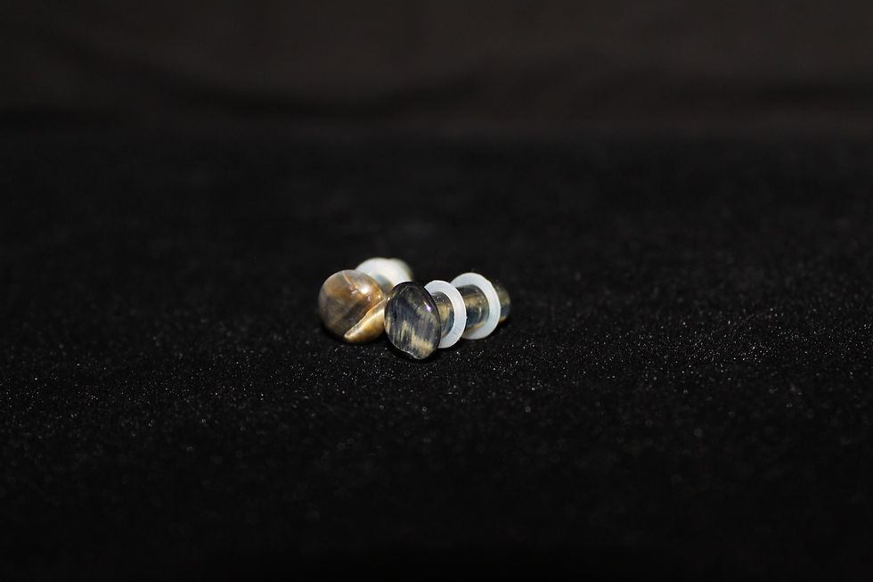 Thumbnail: Tiger Eye Plugs