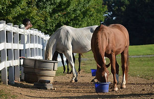 Yard Supplies