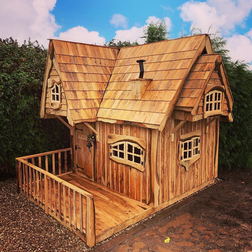 amazing%20playhouse_edited.jpg
