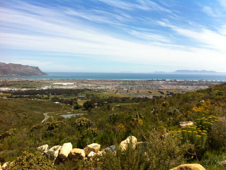 4x4 course with a Nissan Xtrail