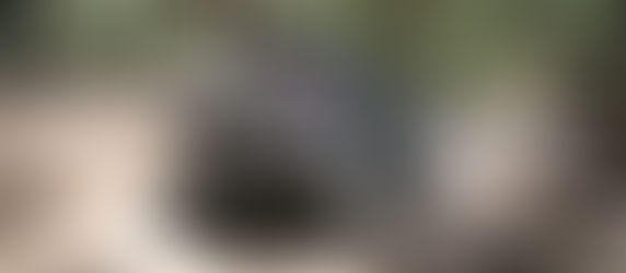 Put your right wheel down and shake it all about