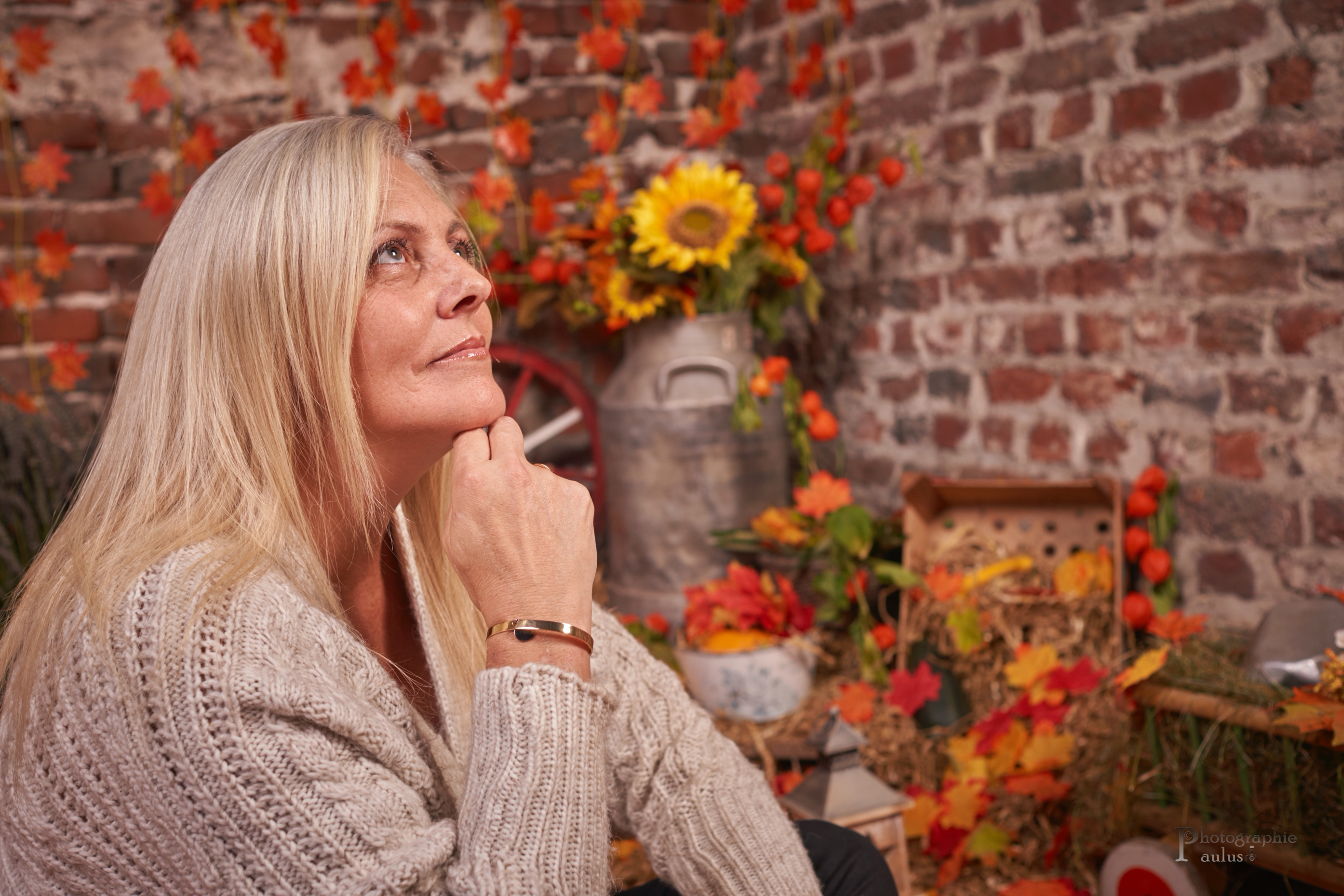 4 Saisons Automne0036