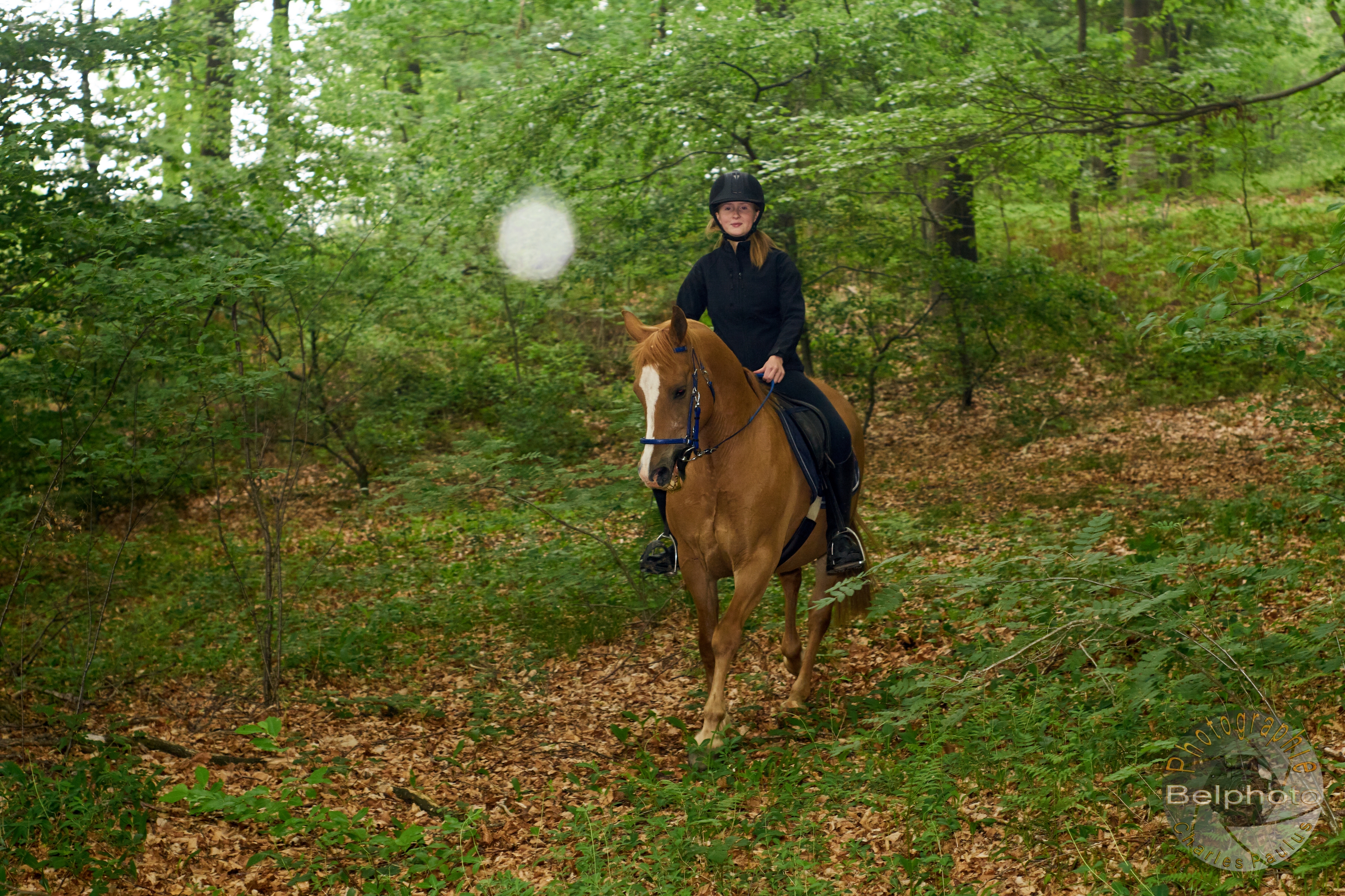 Delphine et Djimmi0249