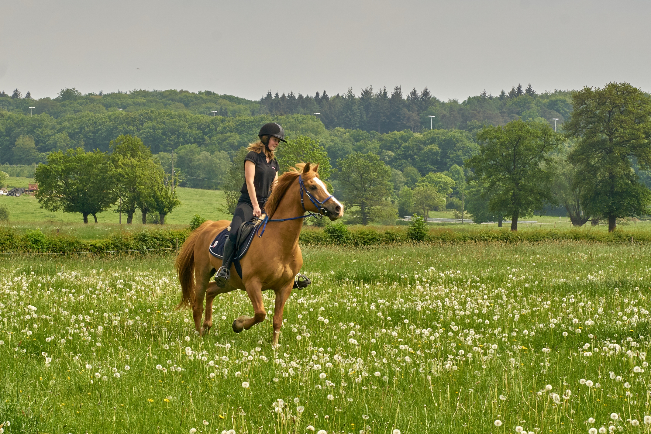 Delphine et Djimmi0154