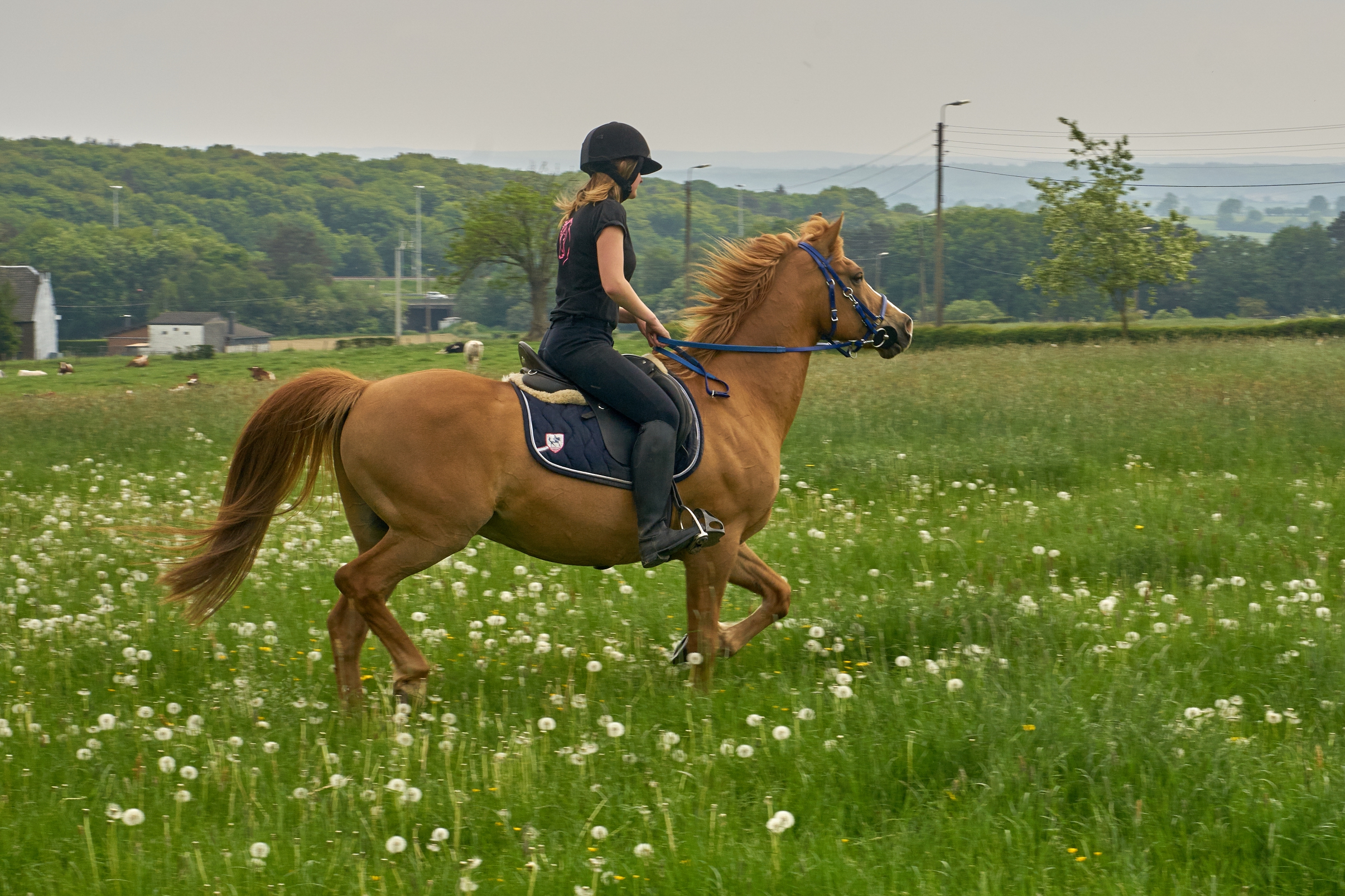 Delphine et Djimmi0165