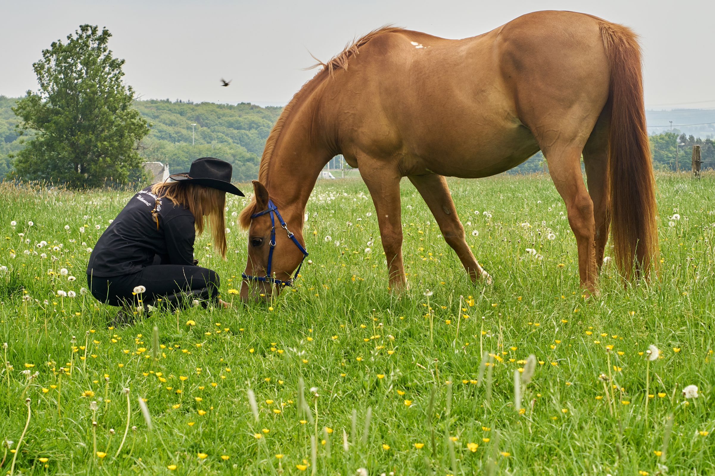 Delphine et Djimmi0034