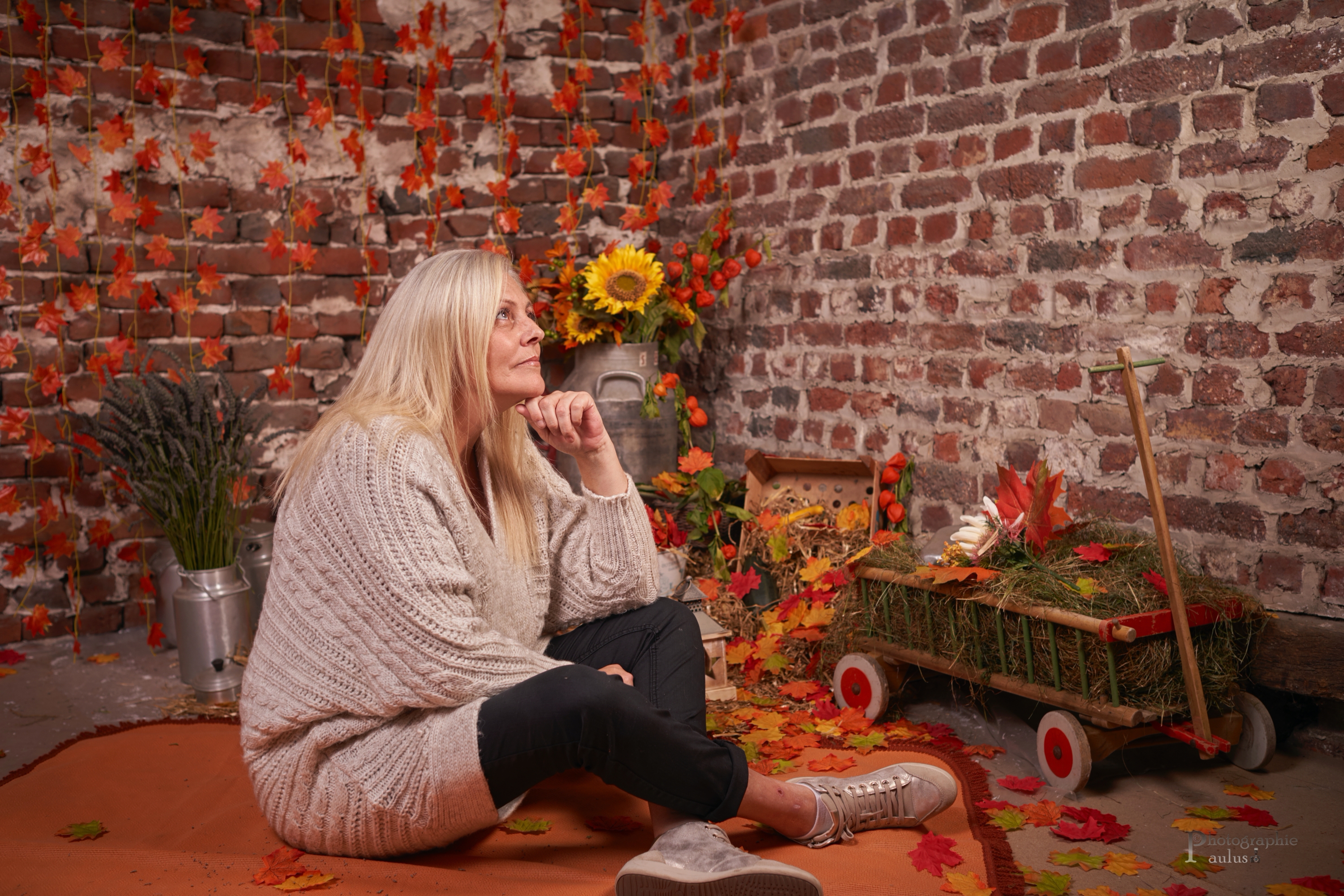 4 Saisons Automne0035