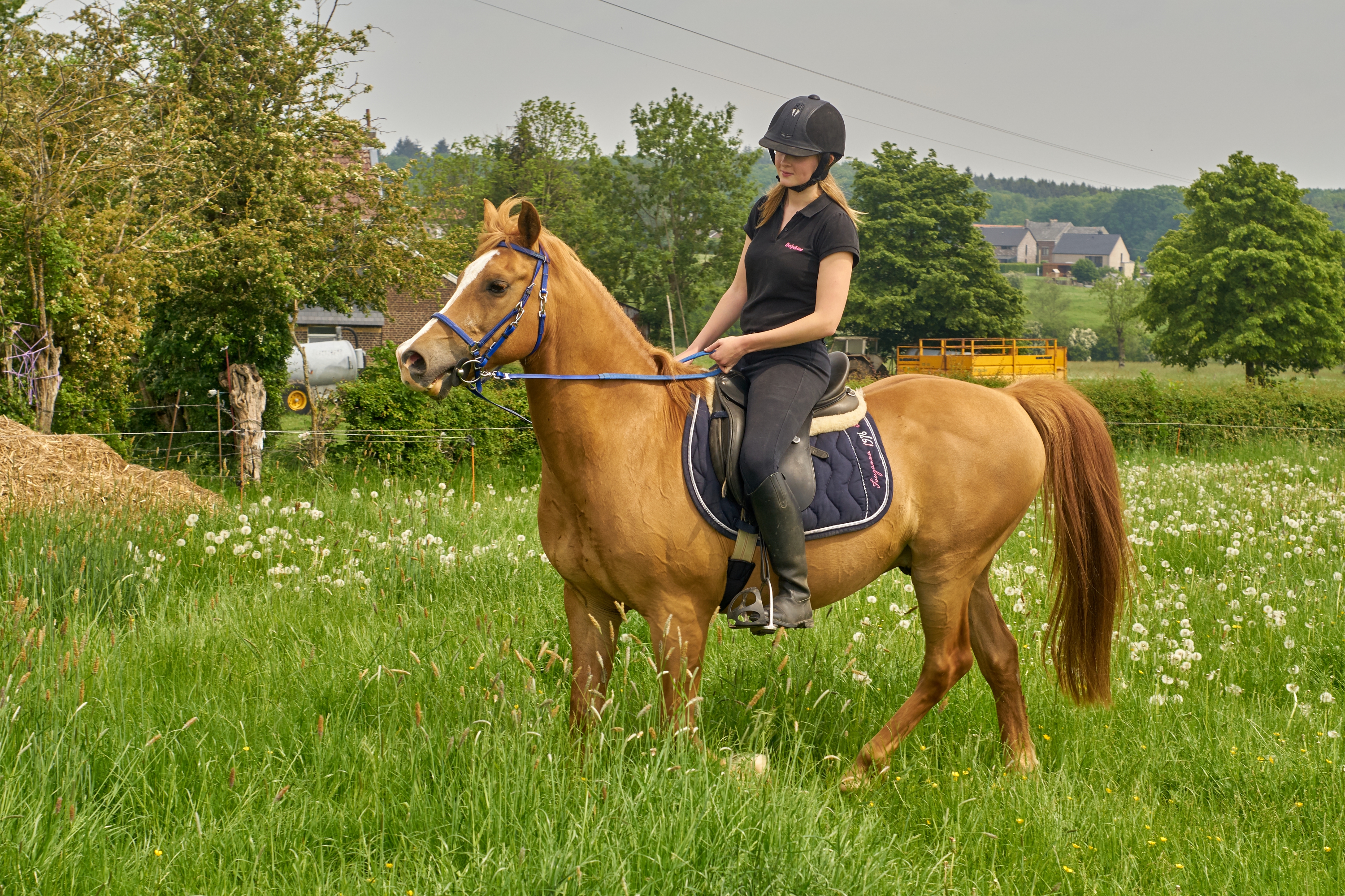 Delphine et Djimmi0170
