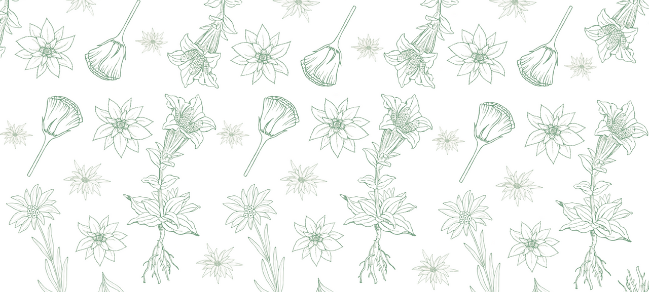 Design ohne Titel (18).png