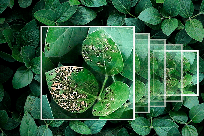 The Dawn of AI in Agriculture: How Generative AI Advances Food Production