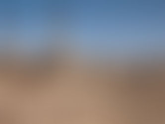 A New Life Away from Chaos