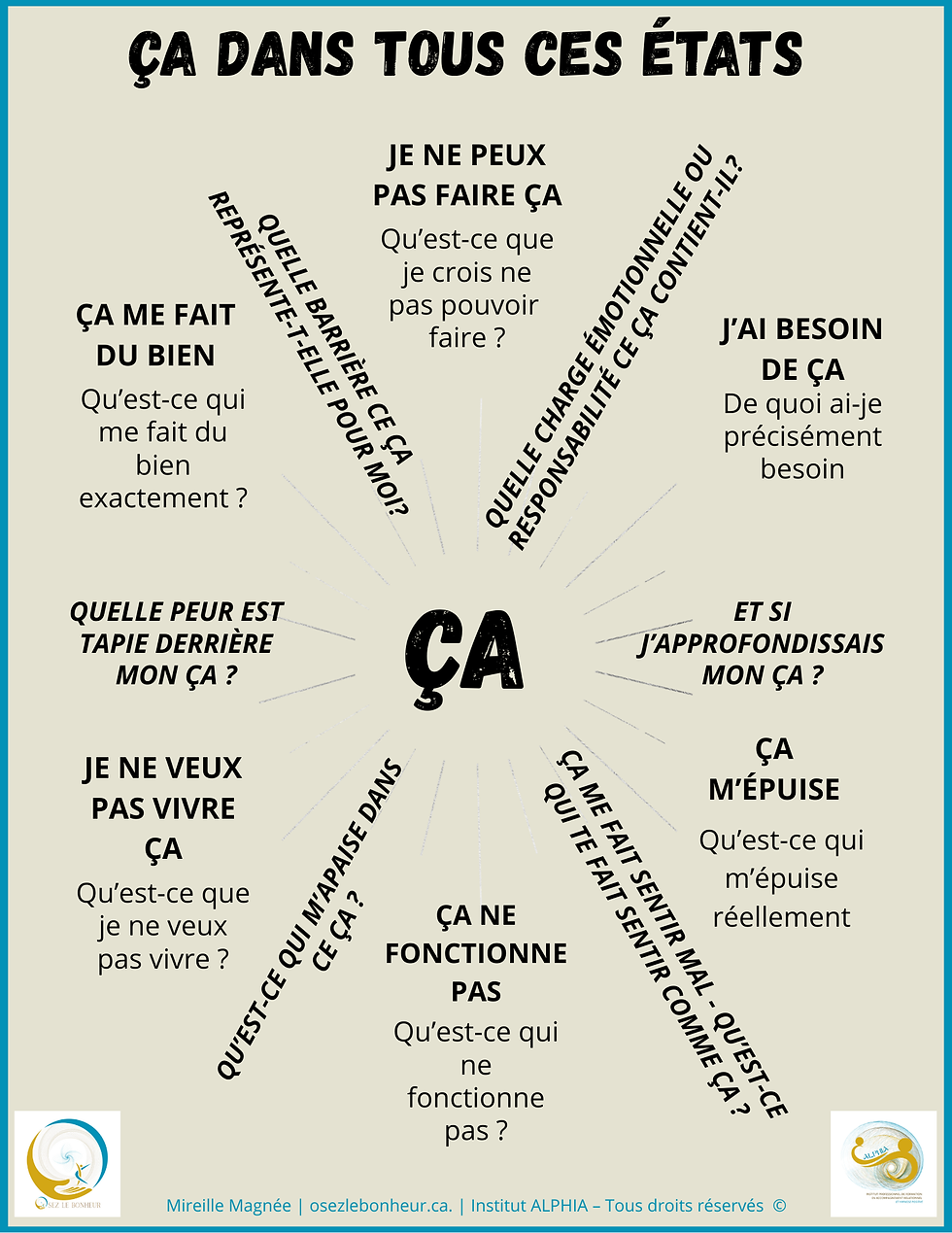 ÇA s’affiche – Fiche 1 gratuite : “ÇA dans tous ses états”