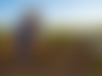 Grow Fresh Produce Agents – Newsletter 3 (2025)