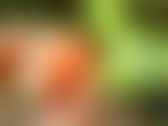 Grow Fresh Produce Agents – Newsletter 14 (2026)