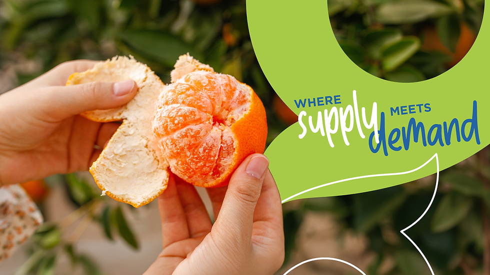 Grow Fresh Produce Agents – Newsletter 14 (2026)