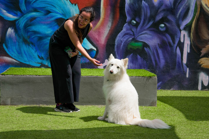 Mujer acariciando un perro blanco en Adriana del Olmo.