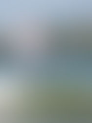 «Как я провёл лето..» экспресс интервью