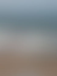 Первый летний месяц на surf4you...